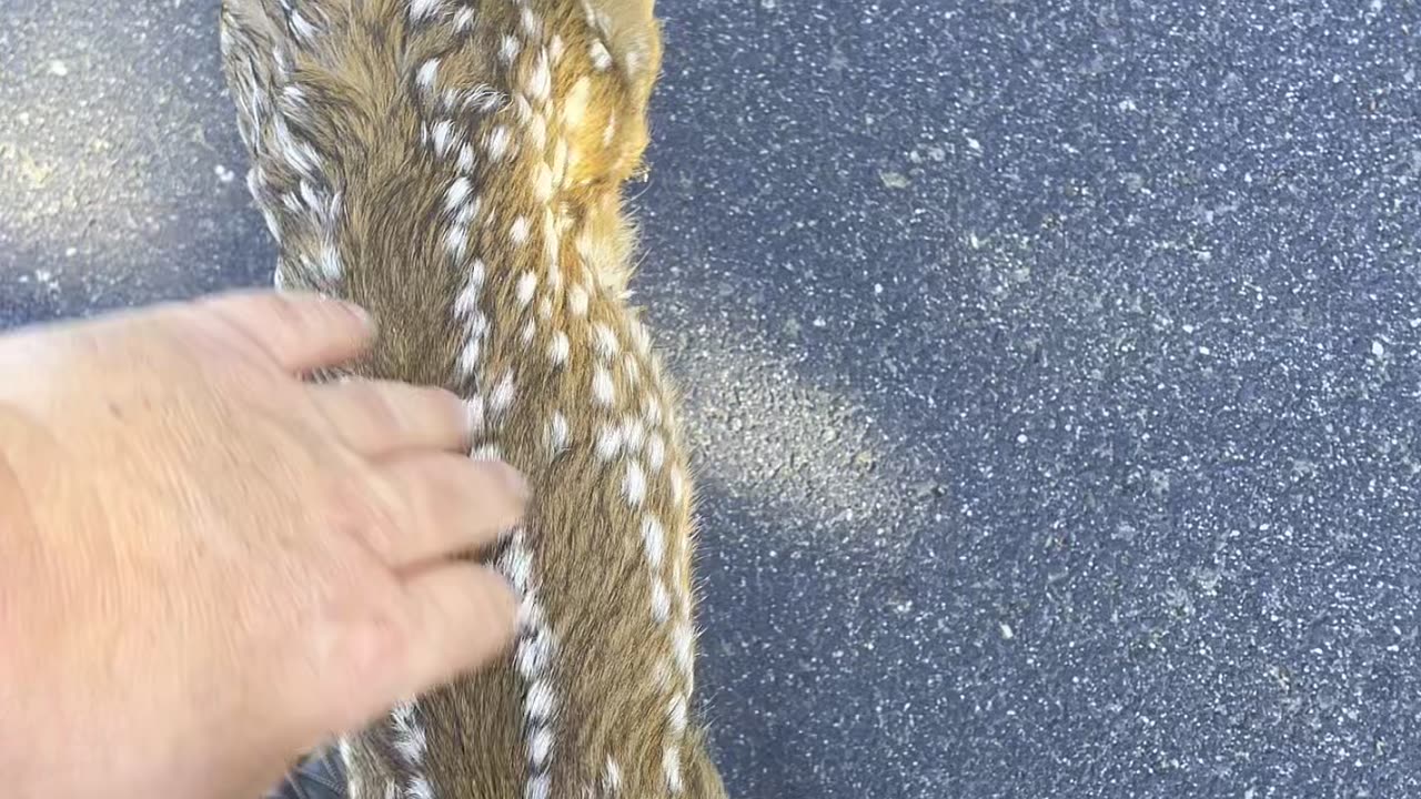 Kid Came Up to Me on My Walk