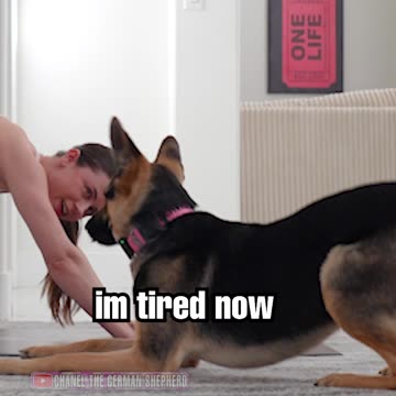 Chanel The German Shepard And Katharine Do Yoga