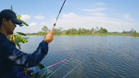 Shrimp Spin Fishing in Lake Vegetation