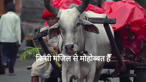 Umeed expectation