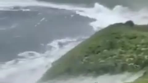 🌊🐶 Man Captures the Moment Tsunami Waves Reach Russia's Kamchatka Peninsula! | FunFM