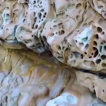 GIANT BONES FROM THE PAST