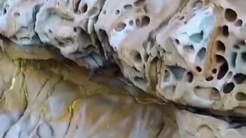 GIANT BONES FROM THE PAST