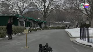 TWO CATS U.S. POLITICAL NEWS