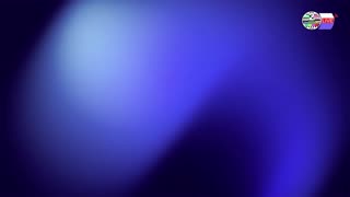 TWO CATS U.S. POLITICAL NEWS