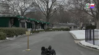 TWO CATS U.S. POLITICAL NEWS