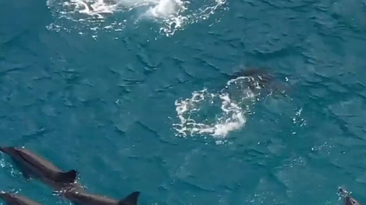 Be aware of all of your surroundings