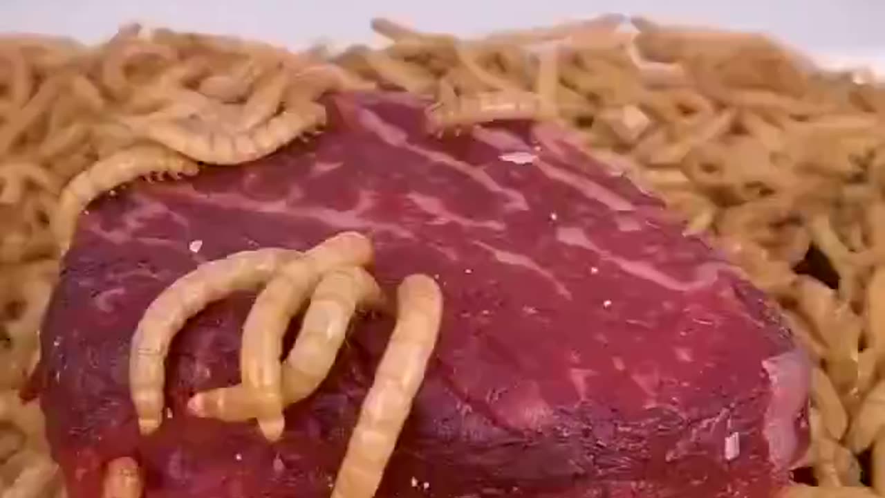 Time lapse Mealworms vs. Raw beef