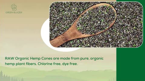 Choosing the Perfect RAW Cone: Your Guide to Classic, Organic Hemp, and Black Series