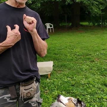 Shaping the Heel cue short 5