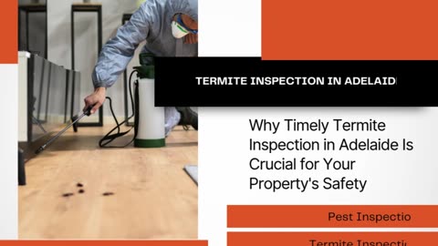 Why Timely Termite Inspection in Adelaide Is Crucial for Your Property's Safety