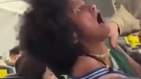Why Are They Like This?