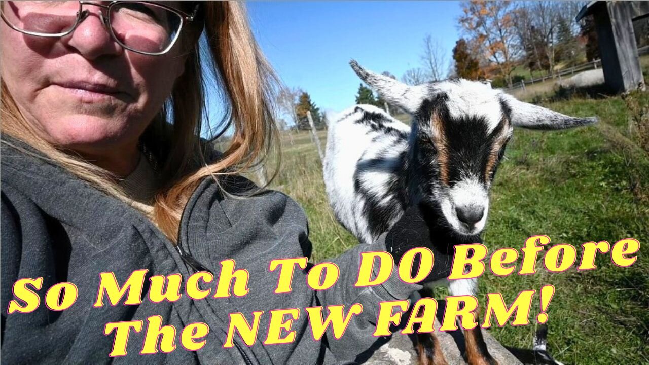 PREPARING For A NEW Farm!