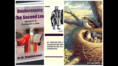 Deut 2ª Ley DISCURSO 6 Cap 6-7: LEY DE TRAVESTISMO O DE PERFECTA UNIÓN / LEY DE AVES, Stephen Jones
