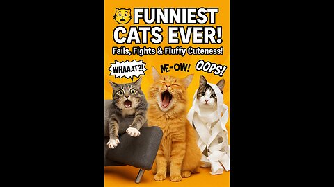 Funny Cats Compilation! | HILARIOUS Cat Fails & Adorable Moments You Can’t Miss!