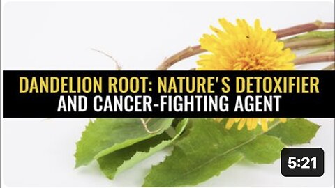 "Dandelion Root: Natural Detoxifier and Cancer-Fighter"
