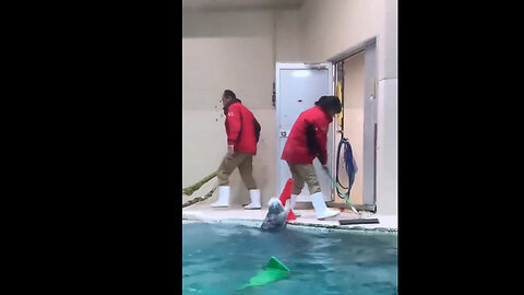 Otters bonding with their caretakers- LOVE IT!!!!!!!!!