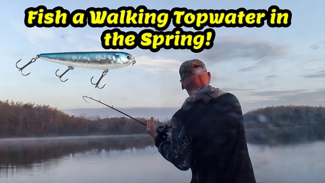 Fish a Walking Topwater in the Spring!