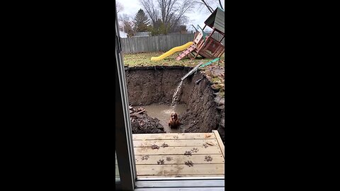 I Let My Dog Outside for 1 hour… 😳🐶