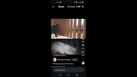 The Border Wall Destroys Natural Habitat and Wildlife