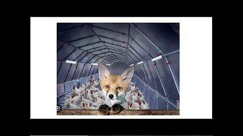 Foxes in the Longhouse Jul 20 2023