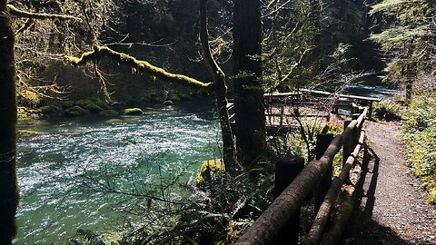 (4K UHD) ADA Barrier Free Fishing Site @ Yukwah Campground! | South Santiam River | Willamette NF