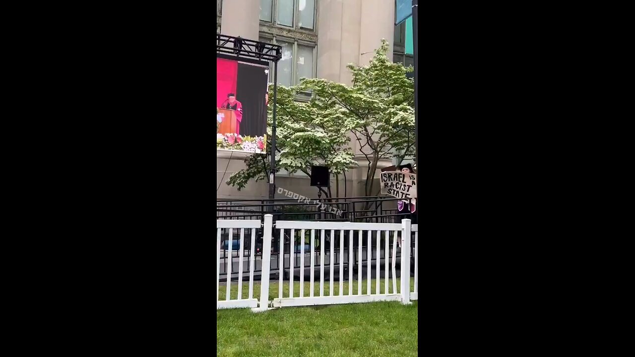 Graduation - Law School- Harvard. You have to see it to believe it.