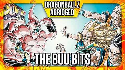 Dragon Ball Z Abridged: Buu Saga | Full Series Recap & Highlights | DBZA Comedy Edit (HD)