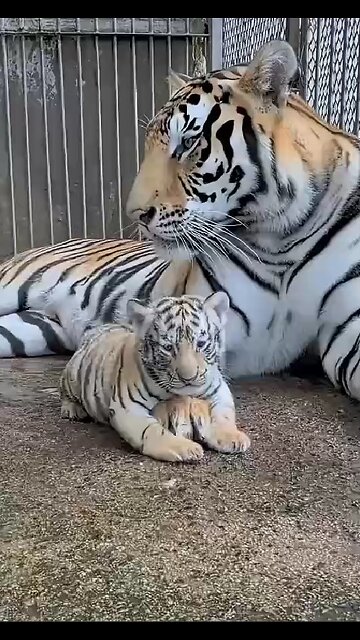 Mom is always there!