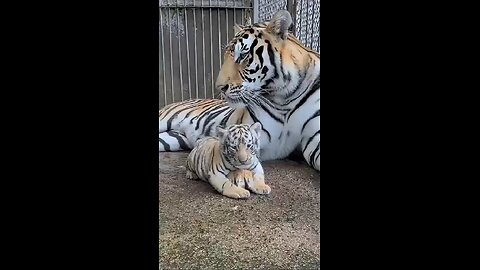 Mom is always there!