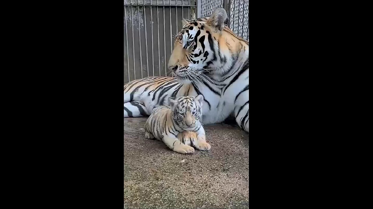 Mom is always there!