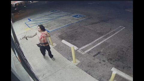Druggedout Mexican Armed With a Handgun Goes on a Rampage in Los Angeles
