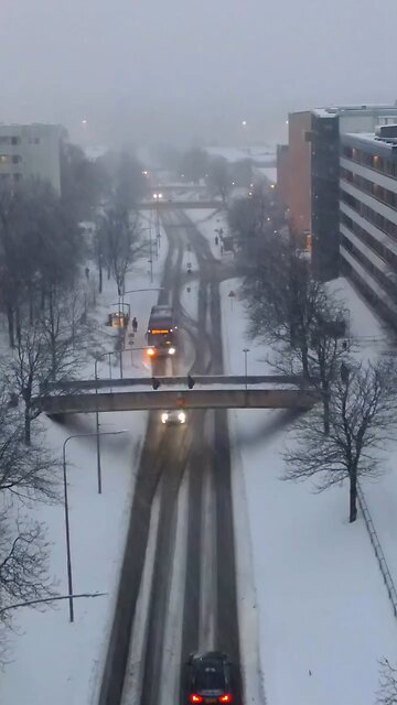 You guys see any vampires?