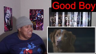Horror For Man's Best Friend | "Good Boy" Trailer | Chipmunk Reaction