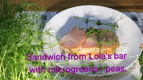 Microgreen sandwich - peas and...). Sandwich.