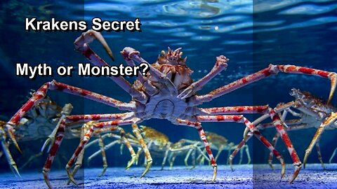 Deep Sea Monsters: Myth or Reality? ️ The Kraken's Secret