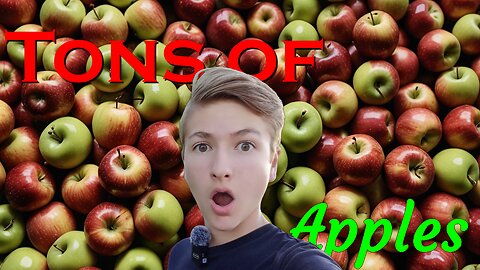 300 lbs of Apples