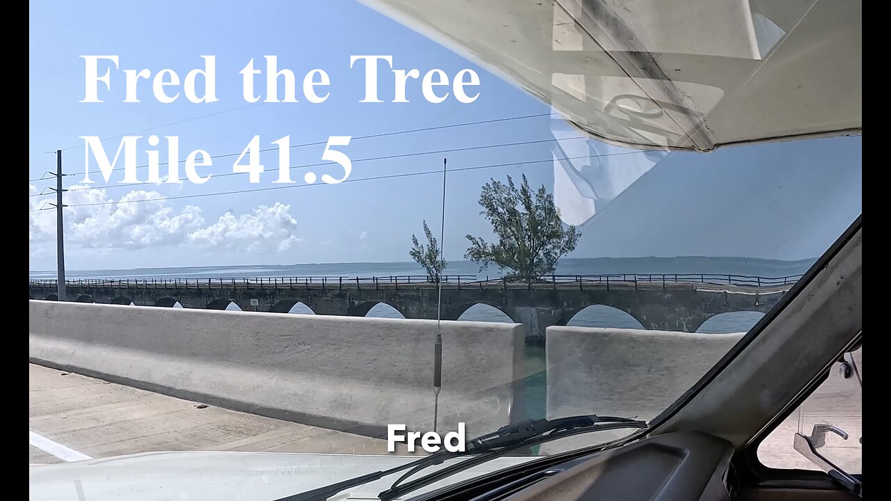 Fred the Tree Florida Keys