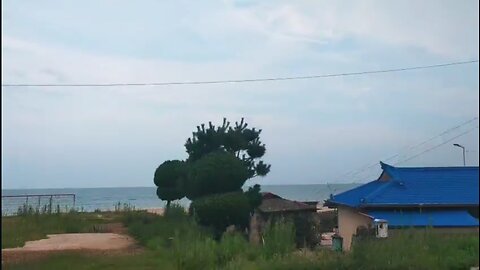 (Original sound.No BGSound)제주도 가볼까?! 시내버스 창문에서 보는 제주도의 해안도로 경험하기 (대한민국 제주도)