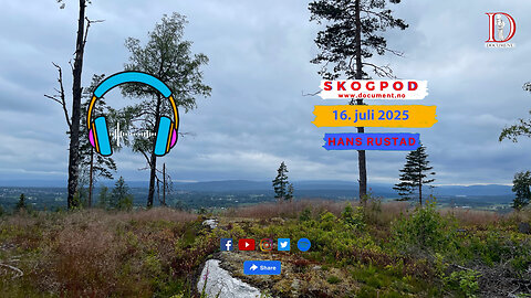 Skogpod 16. juli 2025