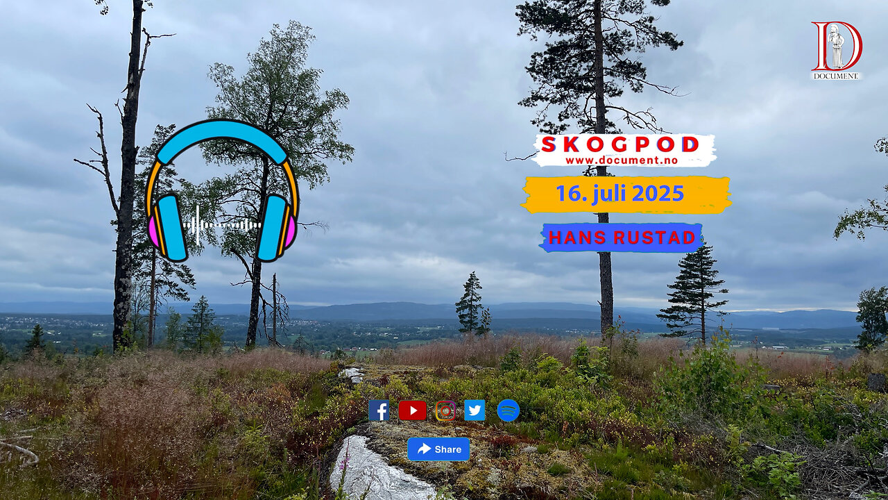 Skogpod 16. juli 2025