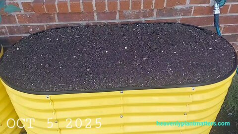 52 Sundays! 1st October Weekend!