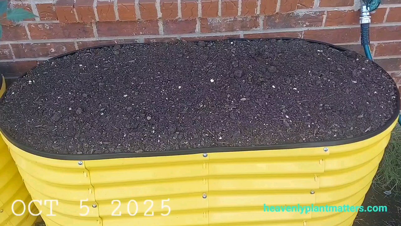 52 Sundays! 1st October Weekend!