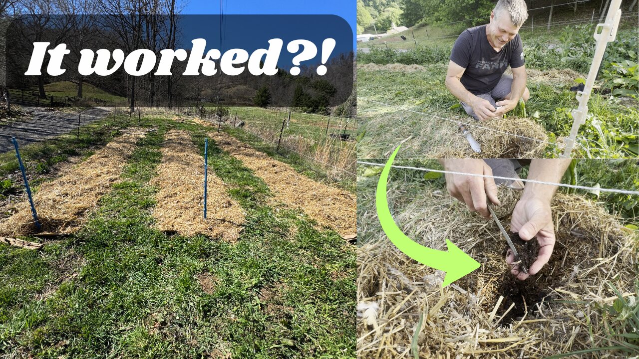 We Peeled Back the Mulch After 2 Months…Here’s What Happened to Our Soil