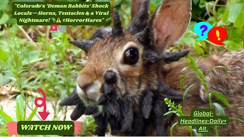 🚨🐇 "Colorado’s ‘Demon Rabbits’ #HorrorHares" Global-Headlines-Daily+ Alt.
