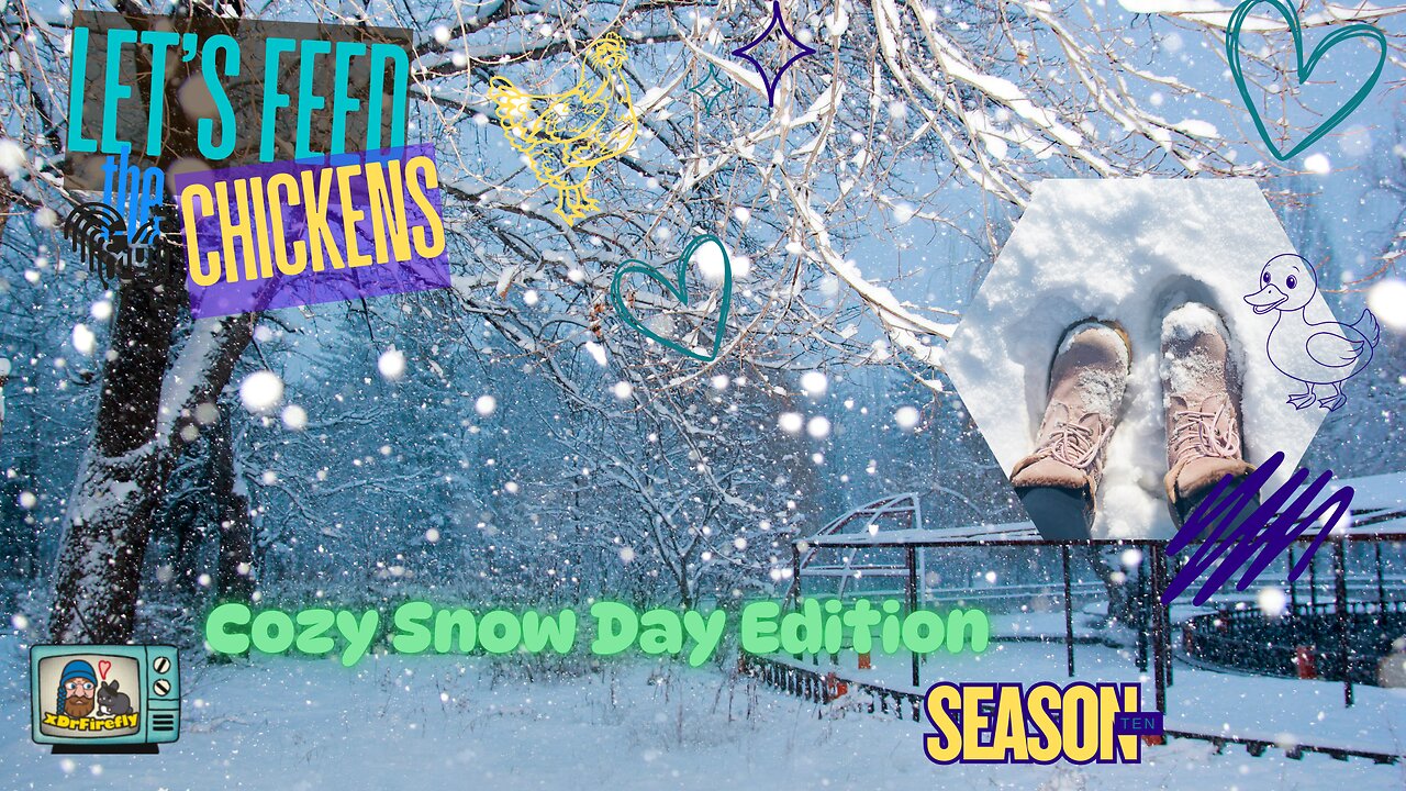 Cozy Snow Day Edition | Let's Feed the Chickens | E259
