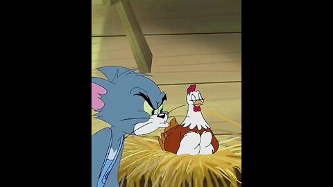 Tom and music hen
