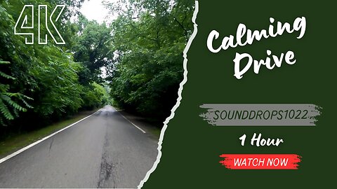 1 Hour of Calming Drive Through Nature