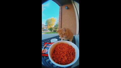 Animal eat spicy foods 😯🥵🥵