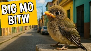 More Cultural Videos While I'm Still Recovering: Big Mo Random Banter